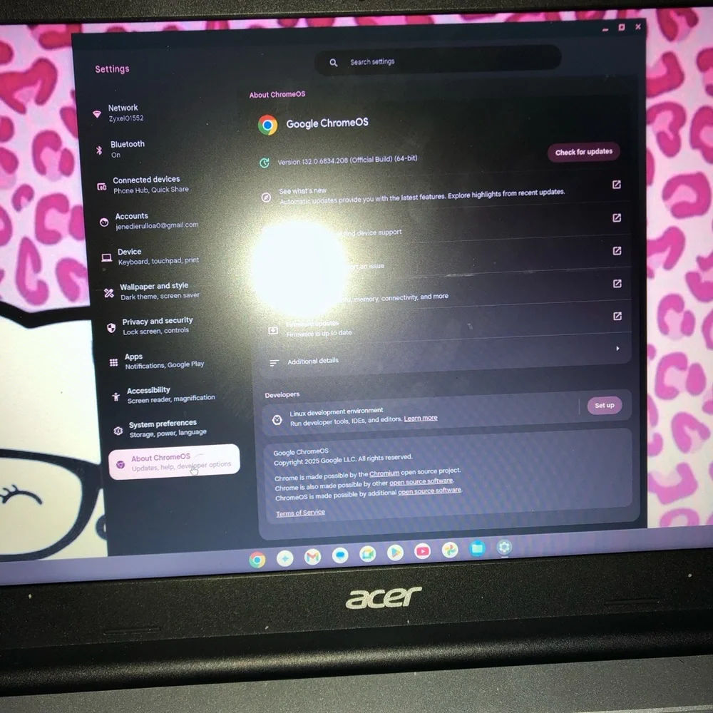 Gray Chromebook with Black Sleeve